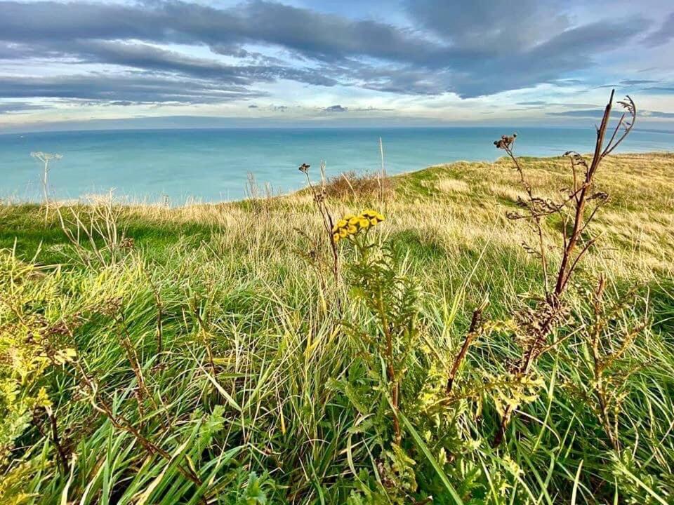 Plage A 50M Appartement Reves Tranquilles Villa Les Bains De Mers Eksteriør bilde
