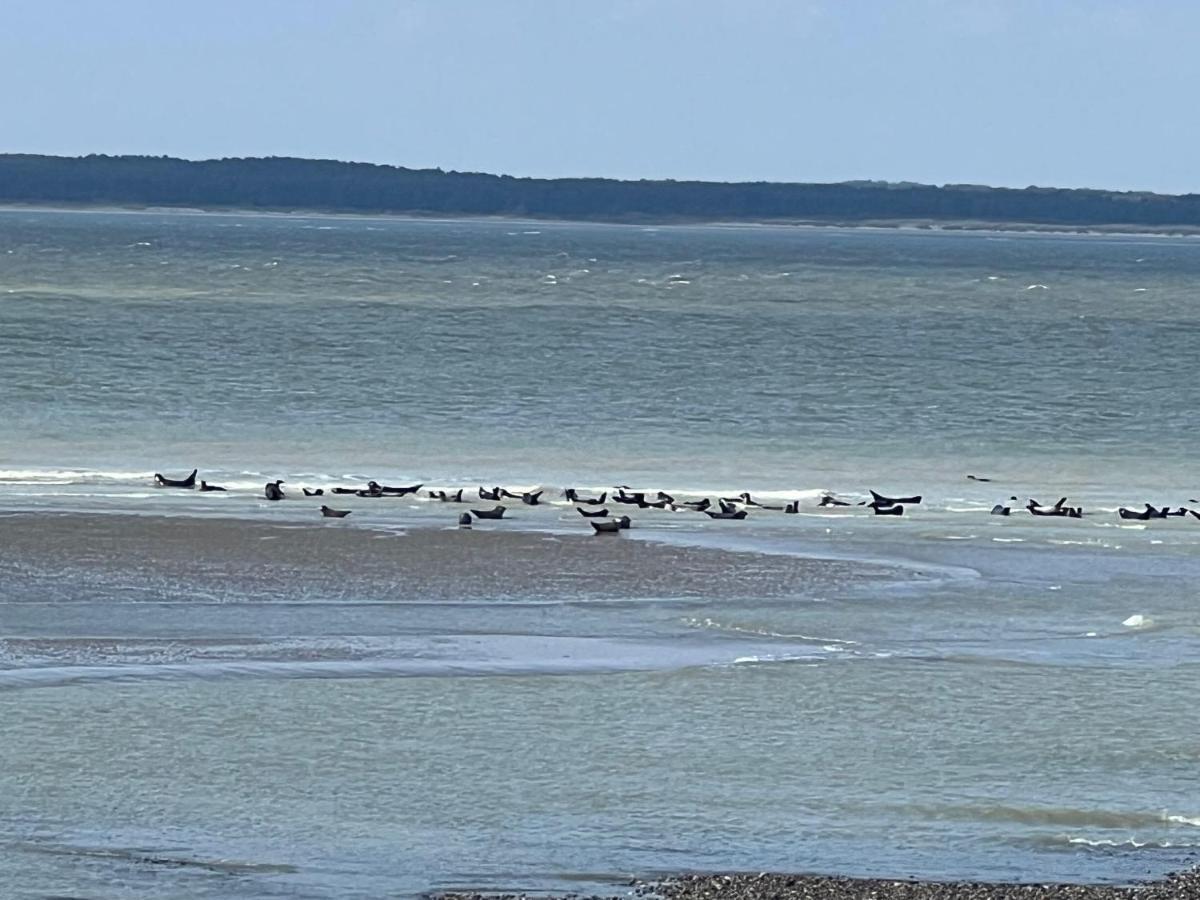 Plage A 50M Appartement Reves Tranquilles Villa Les Bains De Mers Eksteriør bilde
