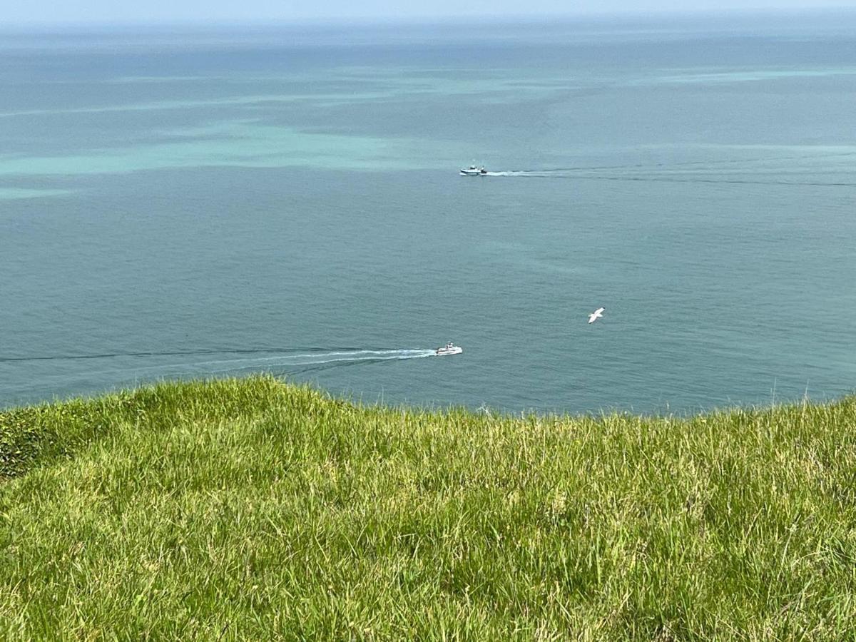 Plage A 50M Appartement Reves Tranquilles Villa Les Bains De Mers Eksteriør bilde